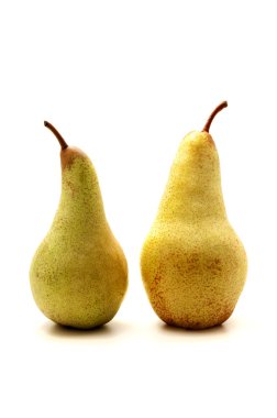 European pears clipart