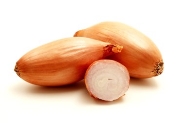 Shallot clipart