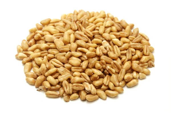 全粒小麦の穀物 — ストック写真