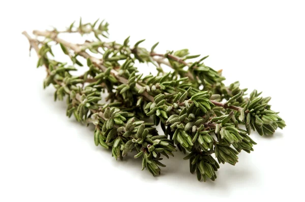 Sprig of thyme — Stock Photo, Image