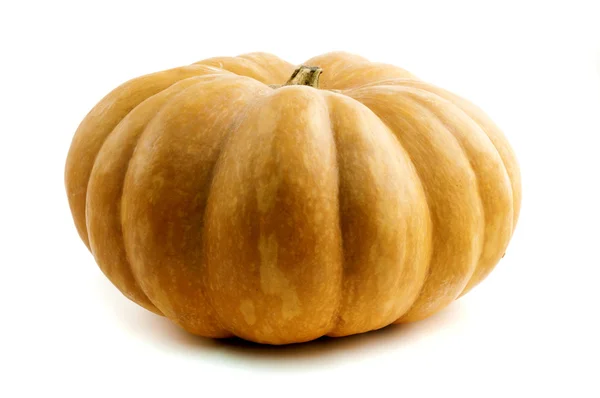 stock image Long Island Cheese Pumpkin