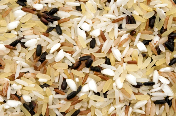 Stock image Mixed rice