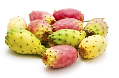 Fruits of Opuntia ficus-indica clipart