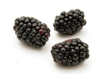 Blackberries clipart