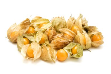 Physalis clipart