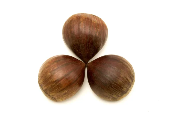 Sweet chestnuts fruits — Stock Photo, Image
