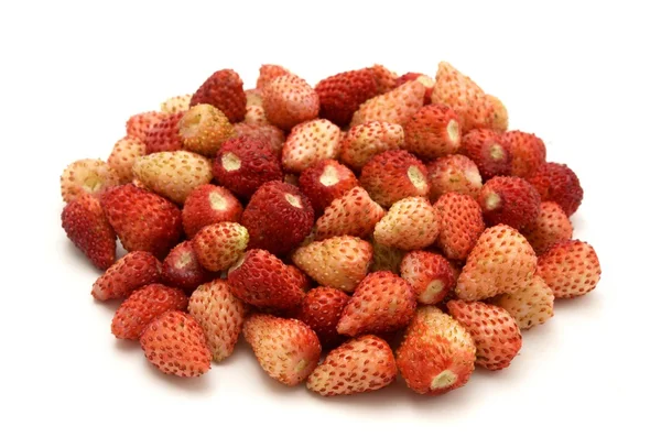 Woodland Strawberry — Stock Photo, Image