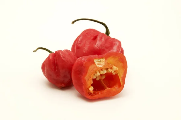 Πιμέντα γλυκές πιπεριές — Φωτογραφία Αρχείου