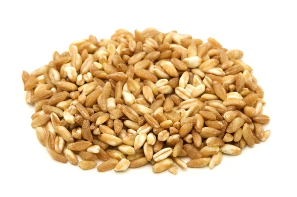 Farro grains — Stock Photo, Image