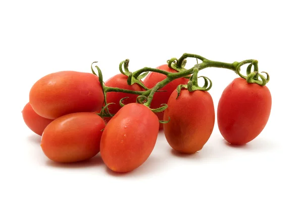 罗姆人番茄 — 图库照片