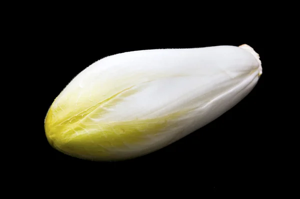 Belgian endive — Stock Photo, Image