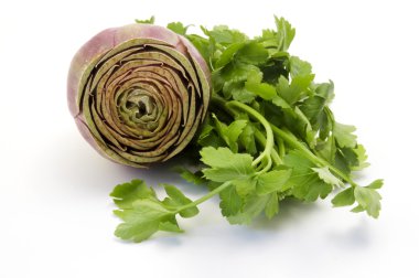 Artichoke and parsley clipart