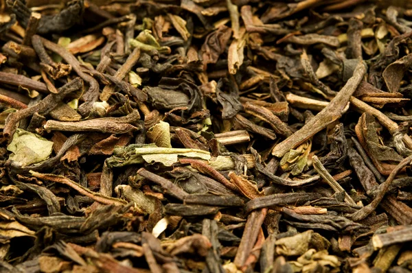 Chá de darjeeling — Fotografia de Stock