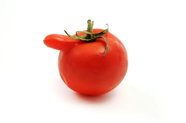 Παραμορφωμένο ντομάτα — Φωτογραφία Αρχείου