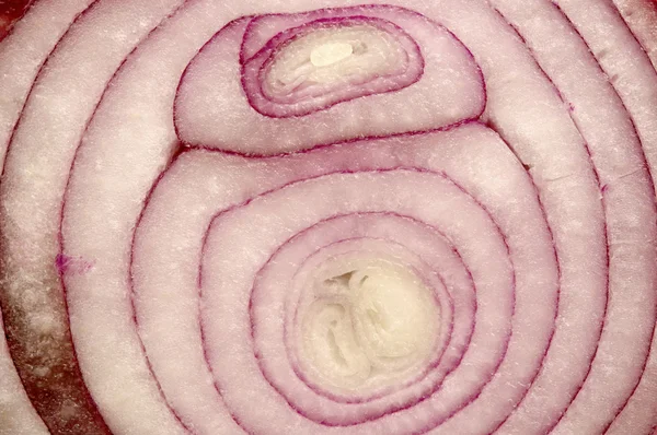 Red Onion — Stock Photo, Image