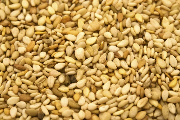 Sesame Seeds — Stock Photo, Image
