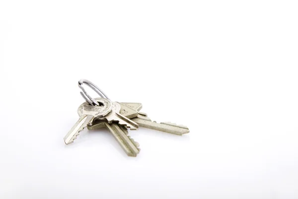 stock image Key ring