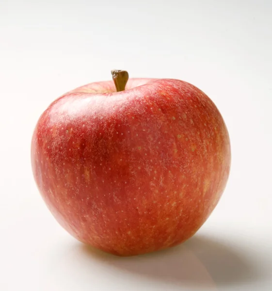 Singel Kırmızı elma