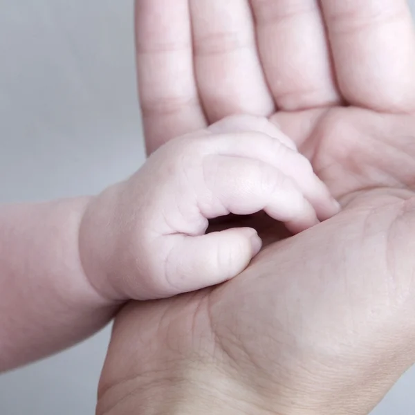stock image Baby hand ind adult hand