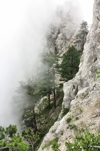 A köd egy hegy tetején Jogdíjmentes Stock Fotók