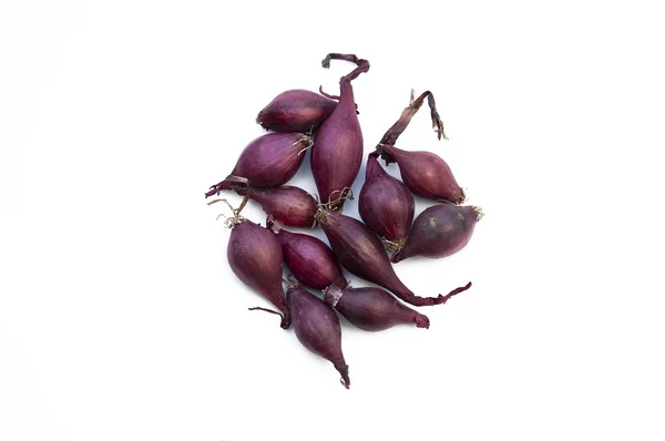 Red onions for seeding — Stock Photo, Image