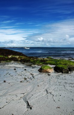 İskoç beach 2