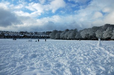 Snowy Park clipart