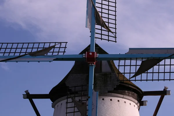Windmill Flandern — Stockfoto