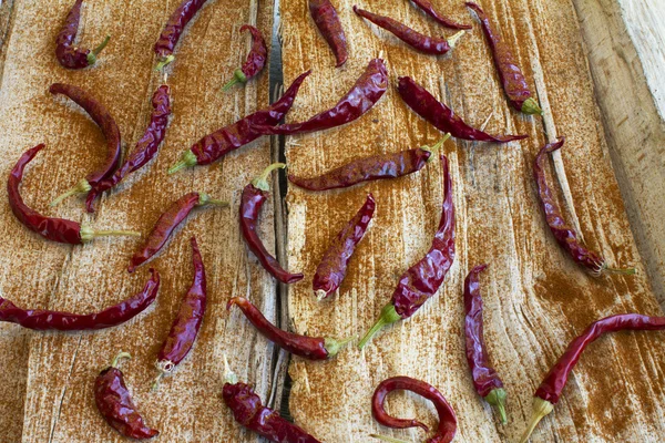 Dried Chili Peppers with spices — Stock Photo, Image