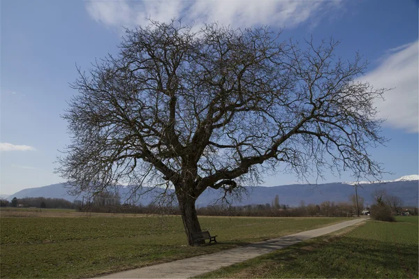 Zapraszając do korzystania — Zdjęcie stockowe