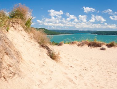 ayı dunes Ulusal lakeshore uyku