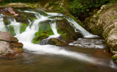 büyük smoky Dağları cascades