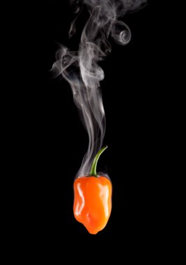 Smoking Hot Habanero Pepper (Capsicum Chinense) clipart