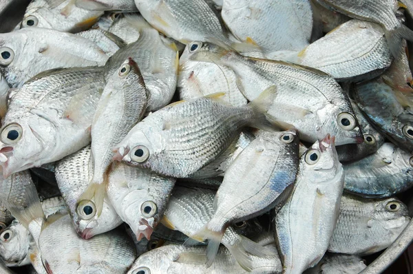Продажа свежей рыбы — стоковое фото