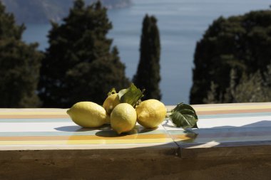 Lemons in amalfi clipart