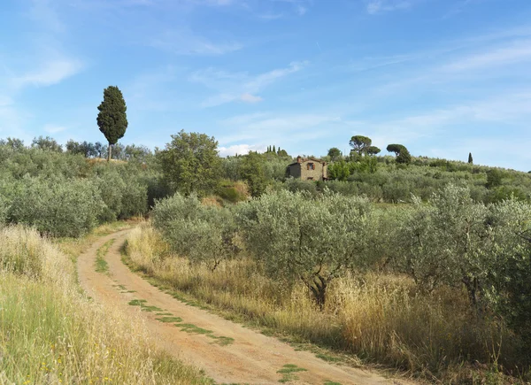 stock image House in tuscany