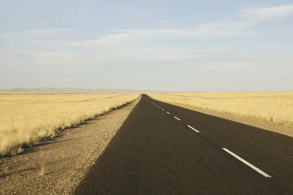 stock image Tar Road