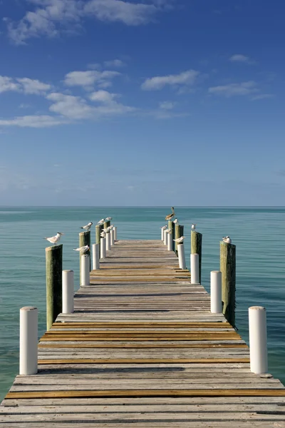 stock image Wooden sunlit jetty leading into a turquoise blue sea in Governo