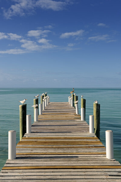 Wooden sunlit jetty leading into a turquoise blue sea in Governo