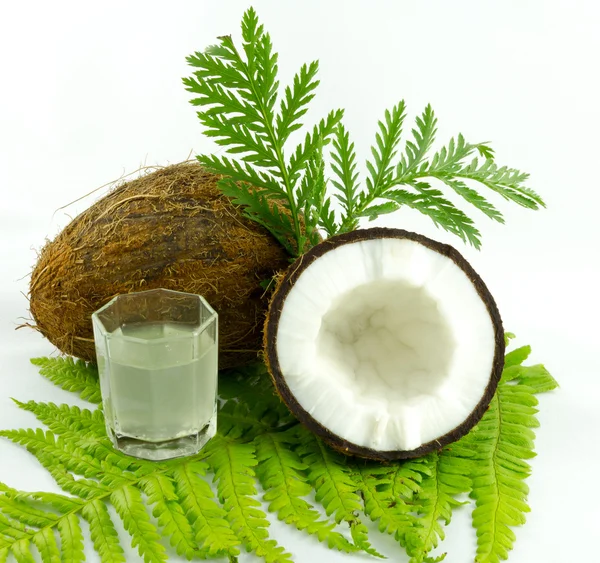 Beyaz arka planda hindistan cevizi