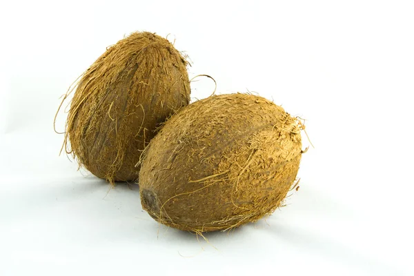 Två kokosnötter — Stockfoto
