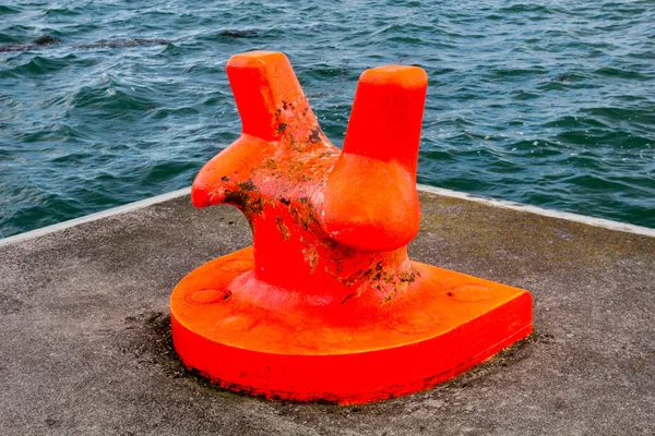 dock üzerinde Koç boynuzu