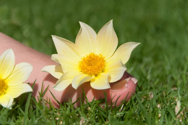 Foot on grass — Stock Photo, Image