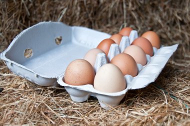 Fresh free range barn eggs clipart