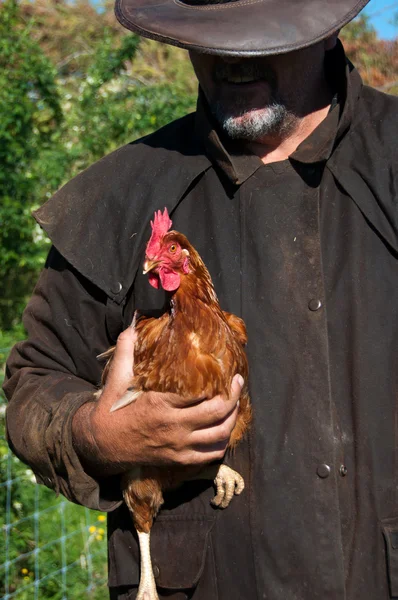 Agricultor sosteniendo pollo —  Fotos de Stock