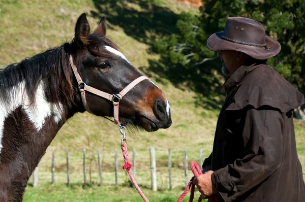 말과 함께 일 하는 농부 — 스톡 사진