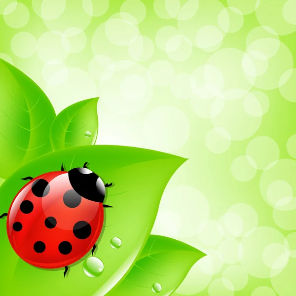 Ladybug On Leaf — Stock Vector