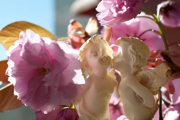樱花背景上接吻的天使 — 图库照片