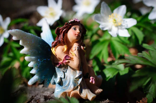 美しい妖精を森します。 — ストック写真