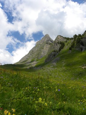 Schynige Platte görünümünden dağ?, İsviçre